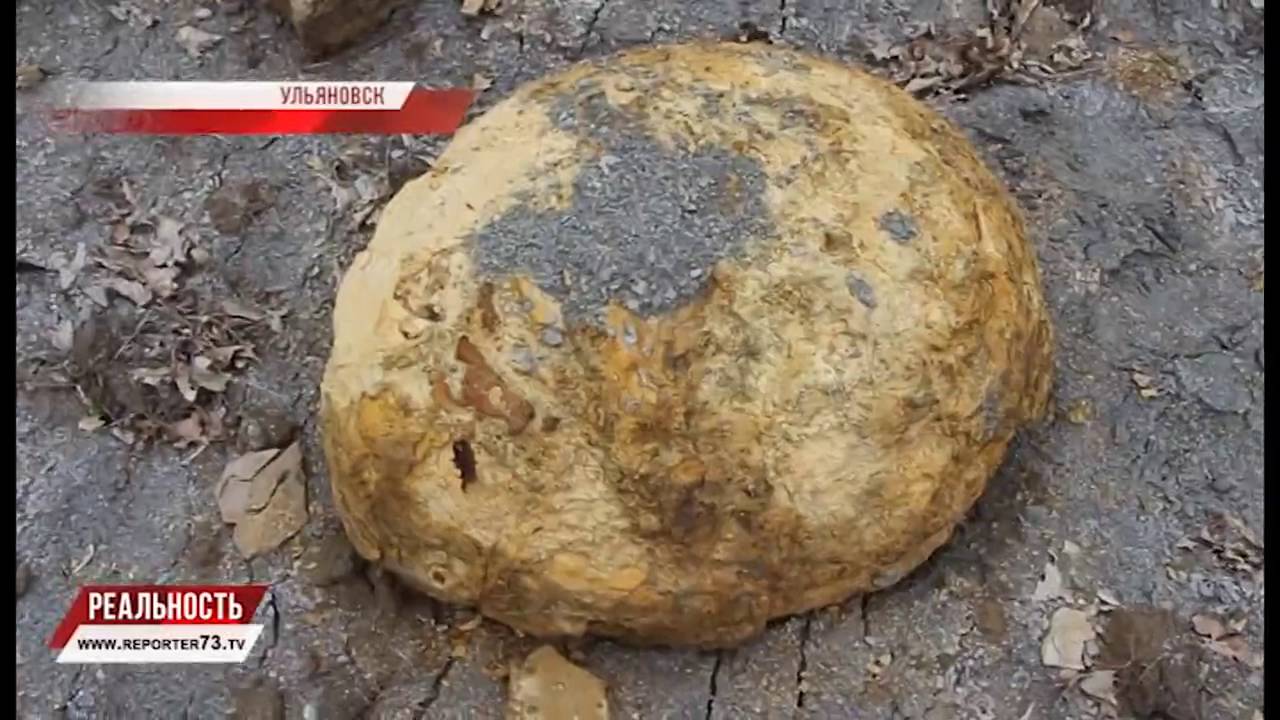 КОСТИ ПО СКЛОНУ