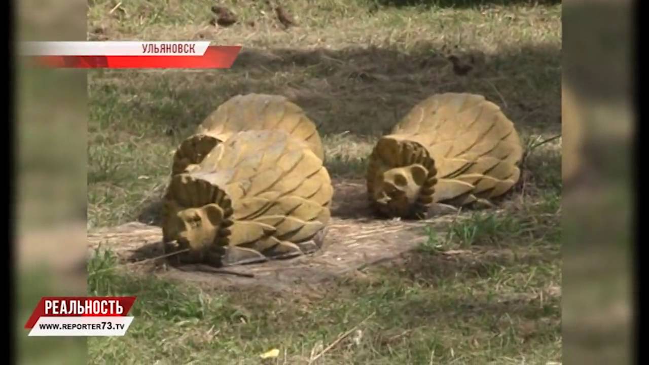 ПАРК — ЛИЦО ГОРОДА