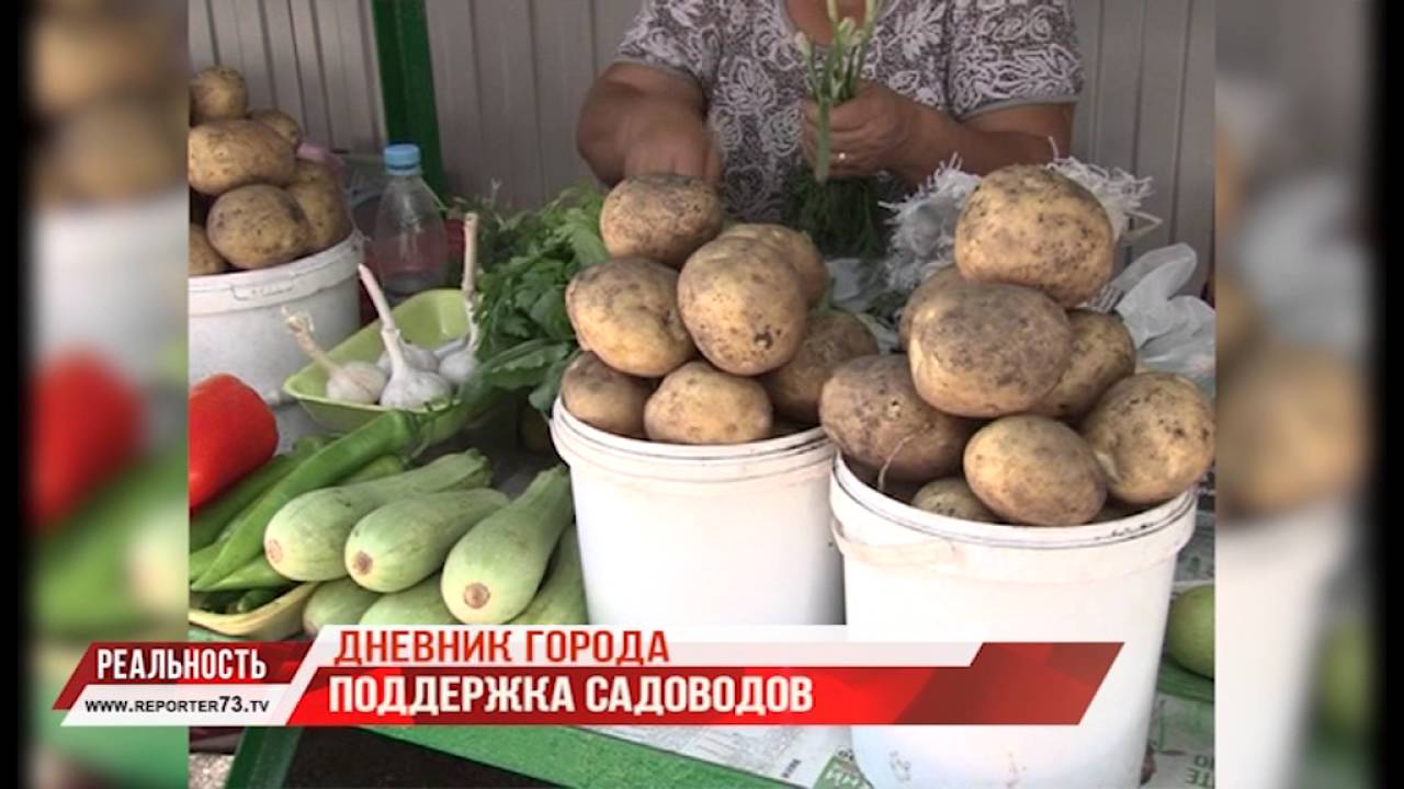 ДНЕВНИК ГОРОДА №4