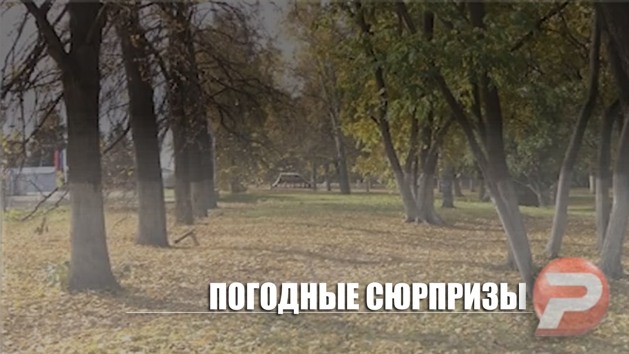 ПОГОДНЫЕ СЮРПРИЗЫ