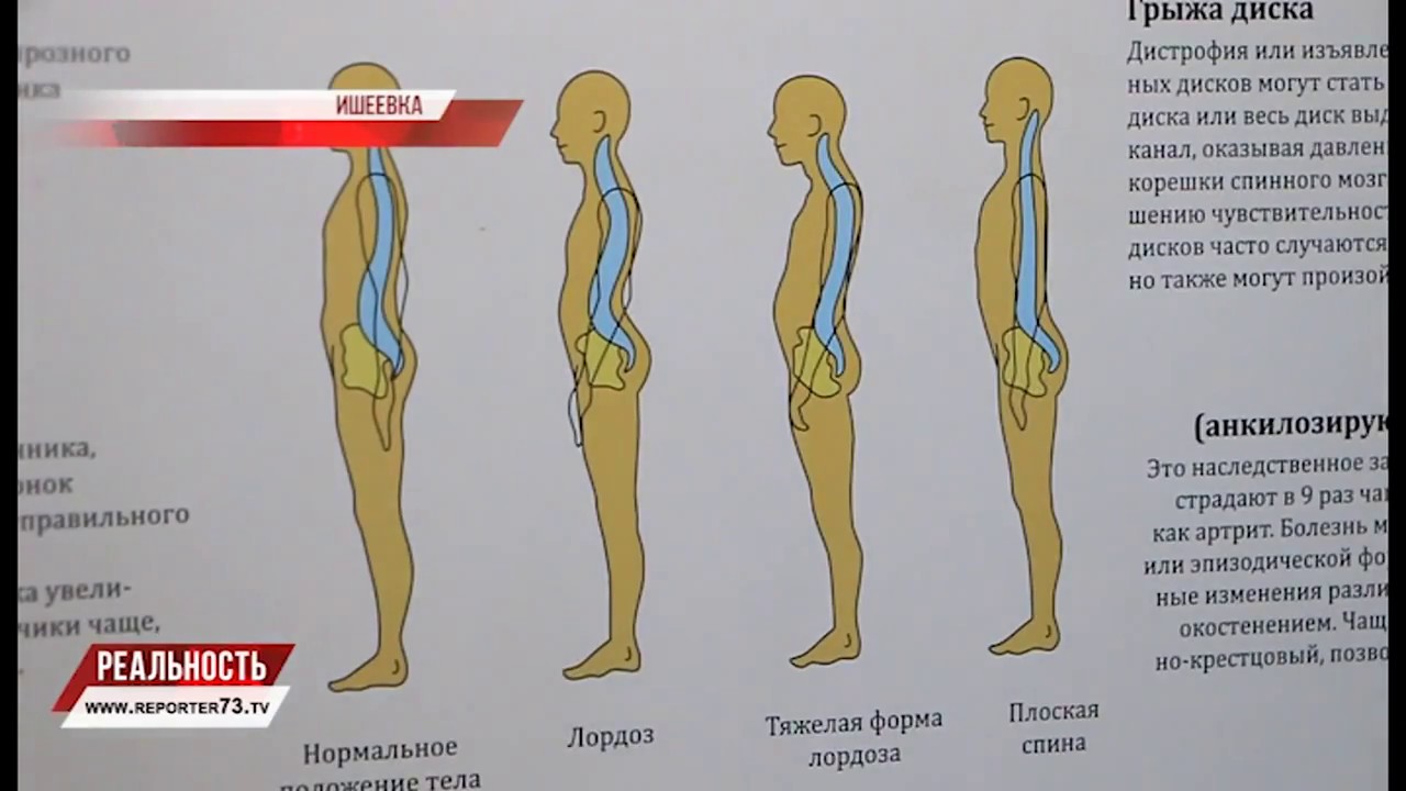 ЗЕМСКИЙ ДОКТОР