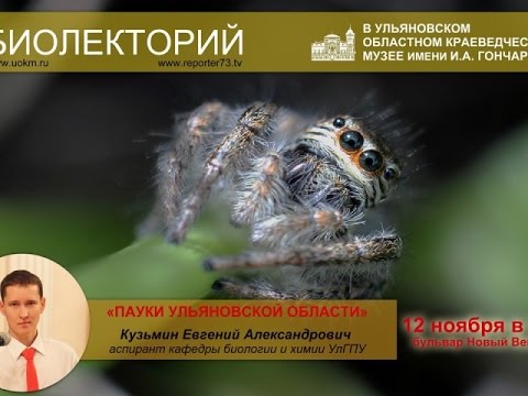 БиоЛЕКТОРИЙ. Пауки Ульяновской области