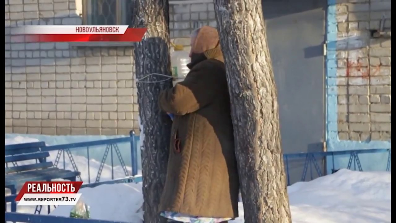 НЕ УСПЕЛИ ЗАМЁРЗНУТЬ