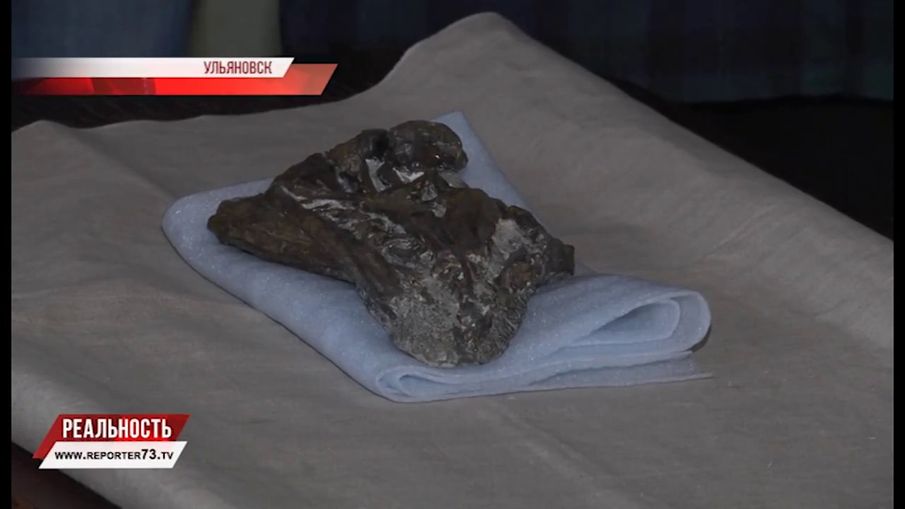 СОПЕЛ ВО ВСЕ ЧЕТЫРЕ ДЫРКИ. УНИКАЛЬНАЯ НАХОДКА ПАЛЕОНТОЛОГОВ