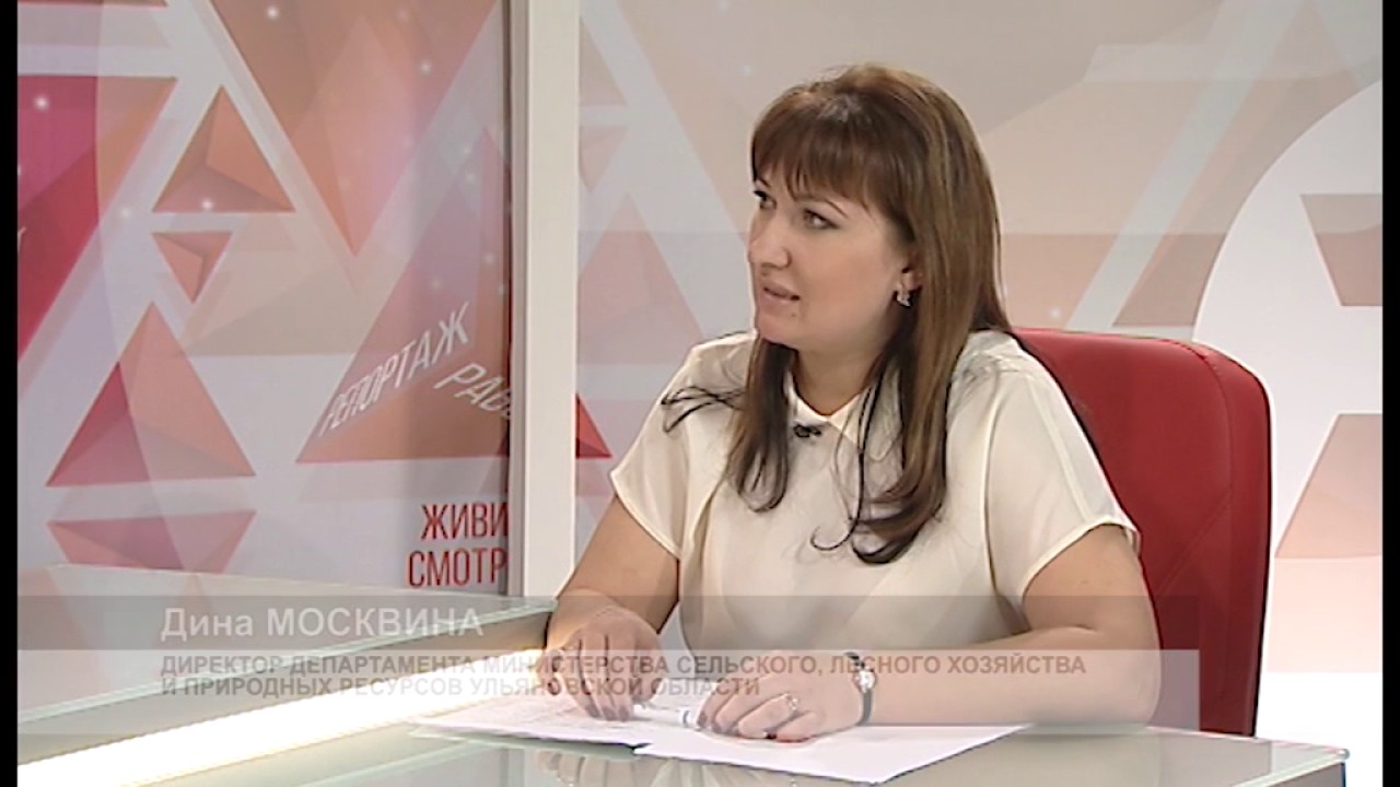 РАЗБЕРЁМСЯ. ПРОДКАРТОЧКИ ИЛИ ТАЛОНЫ?