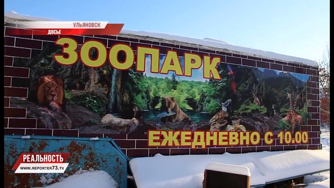 СКОТСКАЯ ЖИЗНЬ