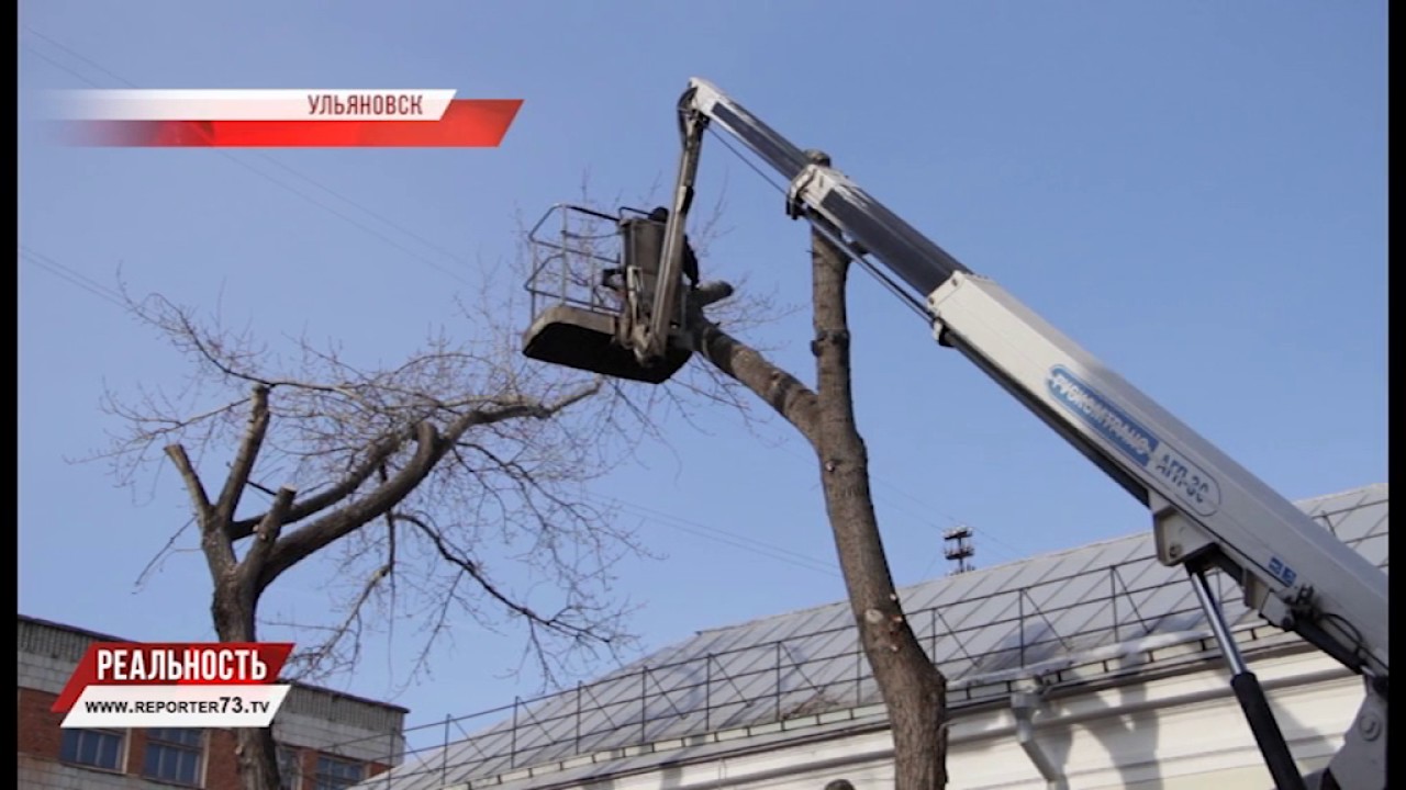 ОБРЕЗАТЬ ПОЛ-ГОРОДА. ВСЁ О РАСПИЛАХ В УЛЬЯНОВСКЕ.
