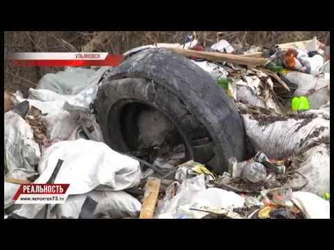 НЕИСТРЕБИМОЕ СВИНСТВО. ПОМОЙКИ В ГОД ЭКОЛОГИИ