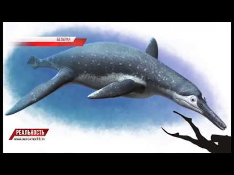 СИМБИРСКИЙ ПЛИОЗАВР. ХАН ДРЕВНИХ МОРЕЙ.
