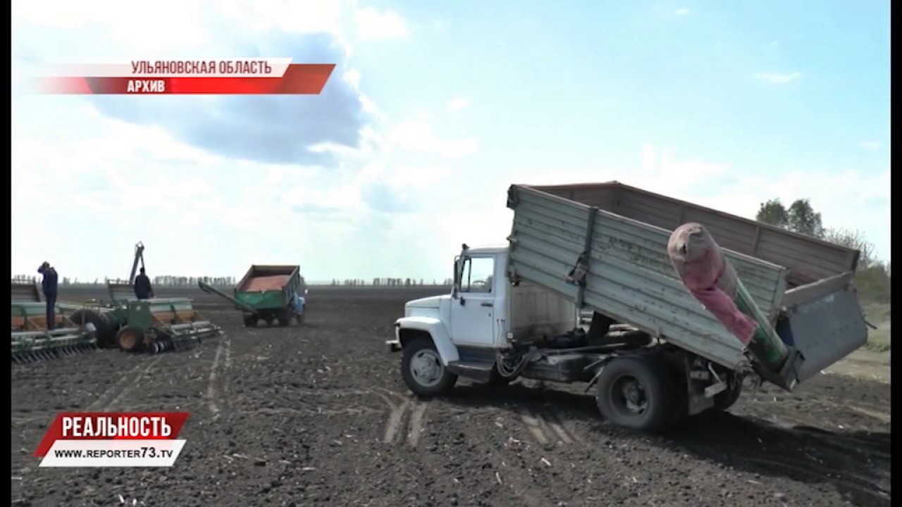 ДОЖДЬ УДАРИЛ ПО КОШЕЛЬКУ