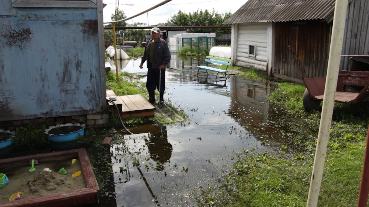 НЕ САХАРНЫЕ ПРОБЛЕМЫ ЦИЛЬНЫ