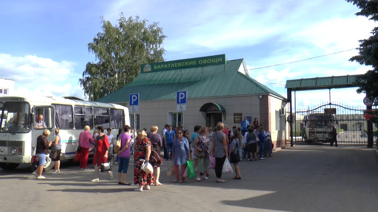 РАБОТА В ТЕПЛИЧНЫХ УСЛОВИЯХ