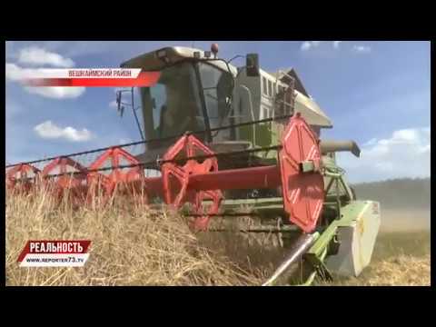 1.000.000 С ПОЛОВИНЫ. УБОРОЧНАЯ КАМПАНИЯ «ПЕРЕСЕКЛА ЭКВАТОР»