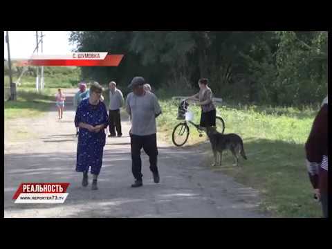 ВСПЛЫЛО И НЕ ТОНЕТ. ФЕКАЛЬНЫЕ ВОЙНЫ