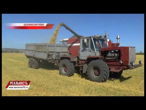 И ПОСЕЕМ, И ПОЖНЁМ