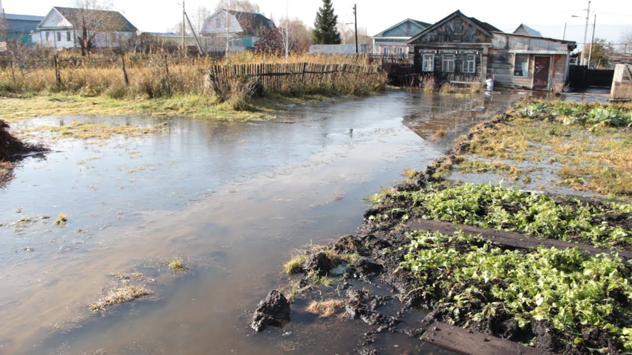 ПРОСТО ЭТО — БОЛОТО. ОСЕННИЙ ПОТОП В МОСТОВОЙ СЛОБОДЕ