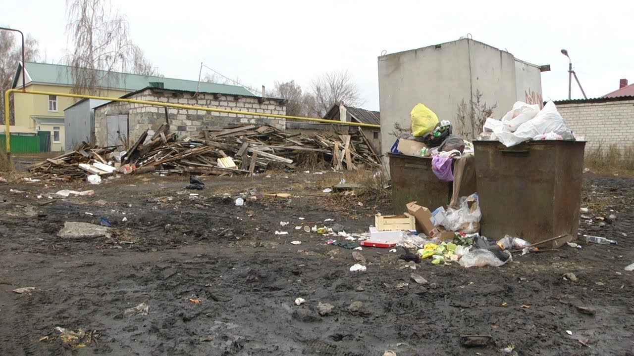 ВСЁ МУСОРОМ ПОРОСЛО