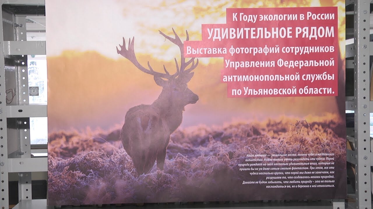 ПРОТИВ МОНОПОЛИЙ, ЗА СОХРАНЕНИЕ ПРИРОДЫ!