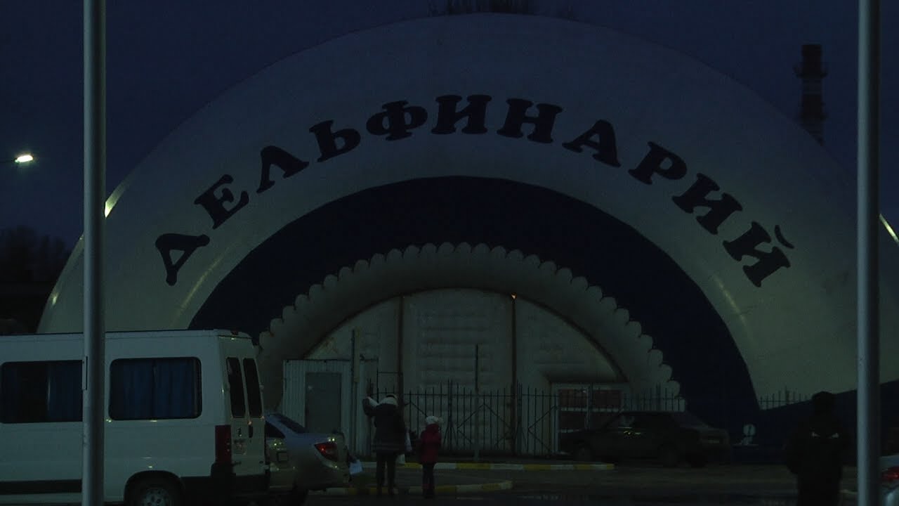 ПИКЕТ ПРОТИВ ДЕЛЬФИНАРИЯ В УЛЬЯНОВСКЕ
