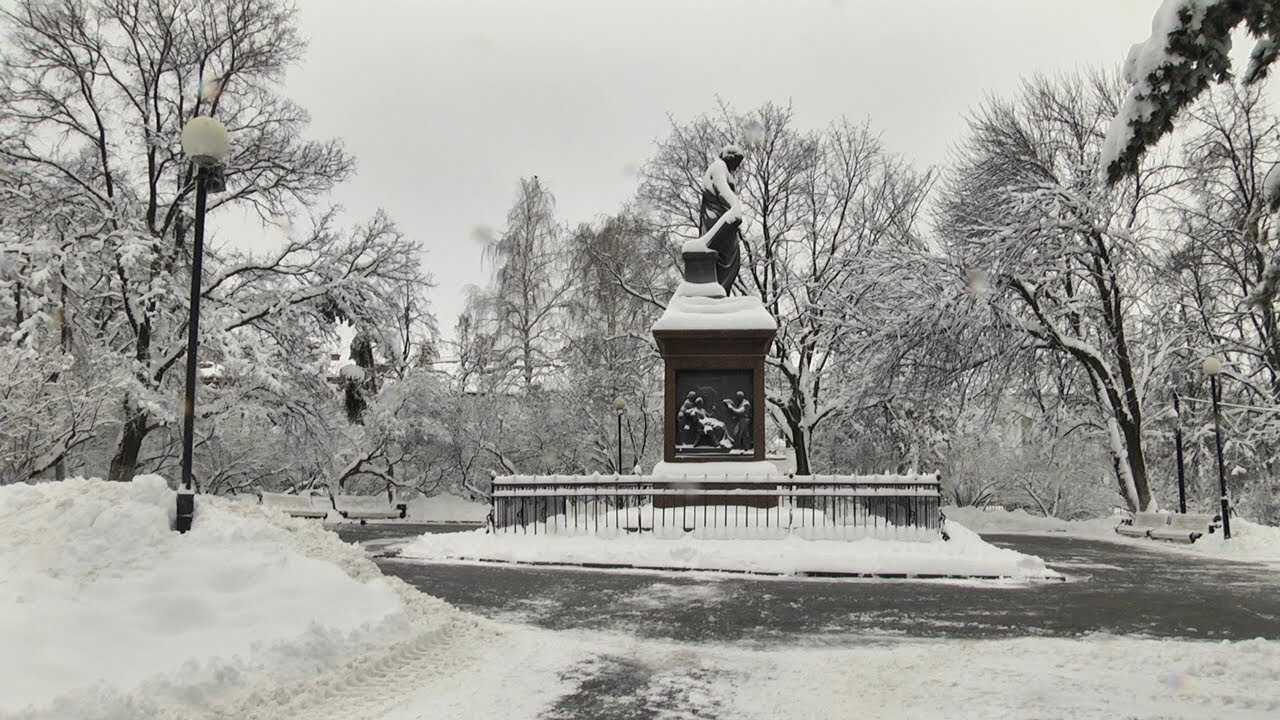 СИРЕНЬ КАРАМЗИНА