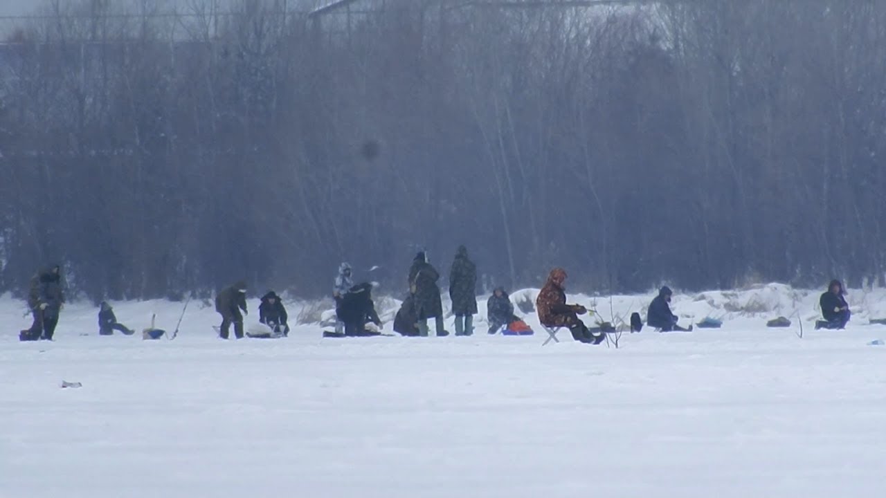 НИ ПУХА, НИ ПЕРА! НИ РЫБЫ, НИ МЯСА