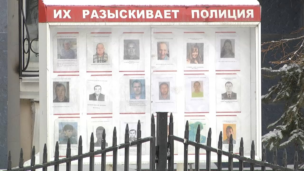 «НАЙДЕН. ЖИВ». ПОИСК ПРОПАВШИХ В УЛЬЯНОВСКОЙ ОБЛАСТИ