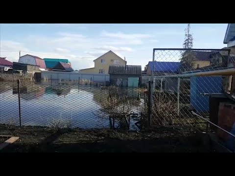 КРУГОВОРОТ ВОДЫ: ЛИВНЁВОК НЕТ В РЕПИНО, ТОПИТ МОСТОВУЮ