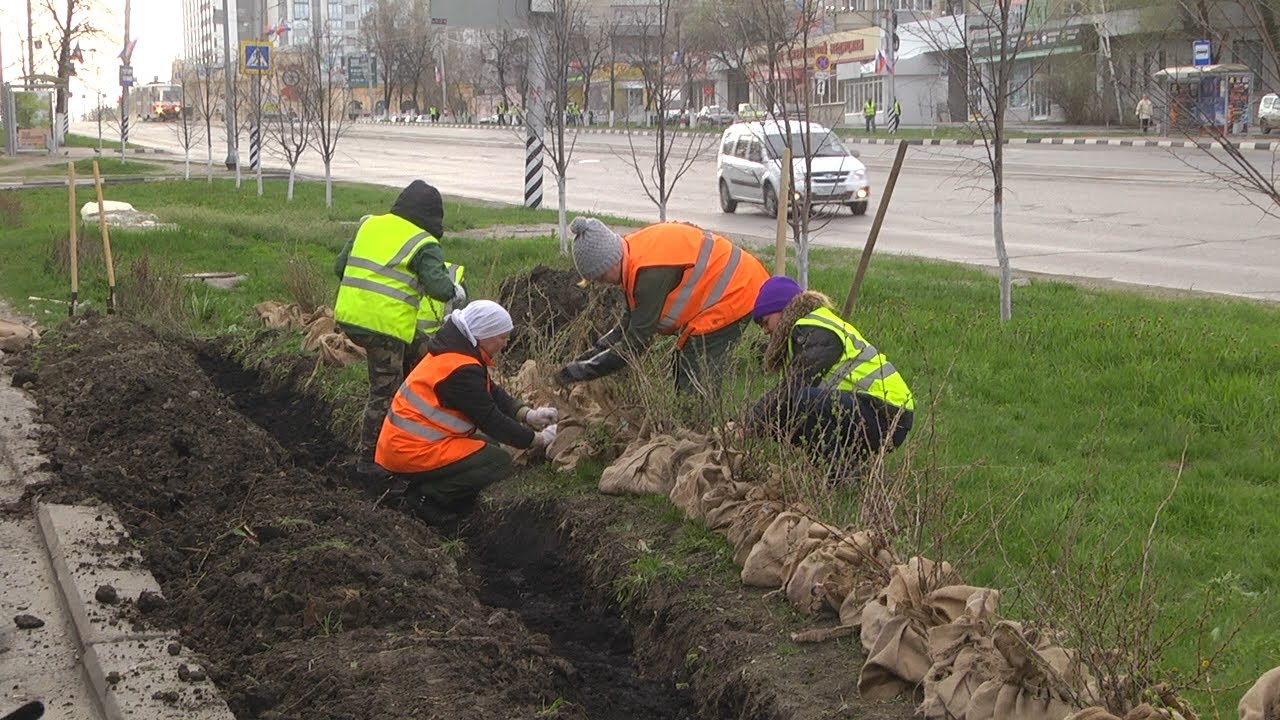 УЛЬЯНОВСКИЙ ОБЩЕГОРОДСКОЙ СУББОТНИК: БЛАГОУСТРОЙСТВО БЕЗ ГРАНИЦ
