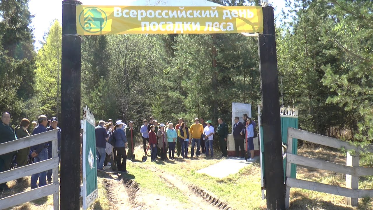ВСЕРОССИЙСКИЙ ЛЕС