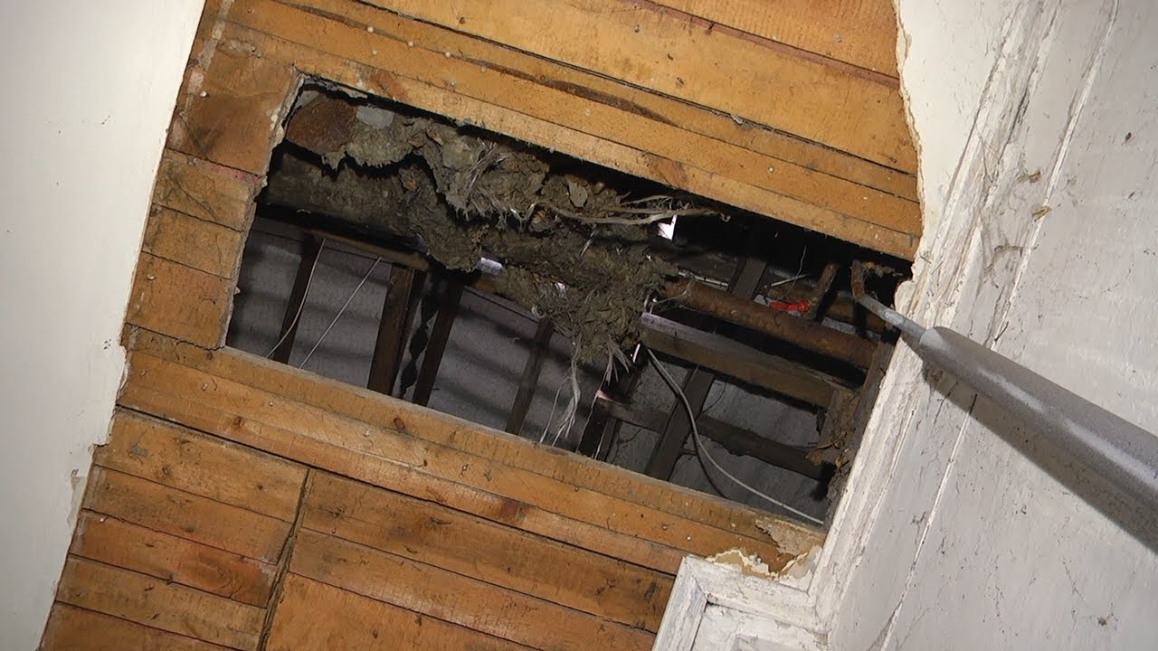 «НУ И ЧТО? А ПУСТЬ ПОКА ПОЖИВУТ БЕЗ ПОТОЛКА»