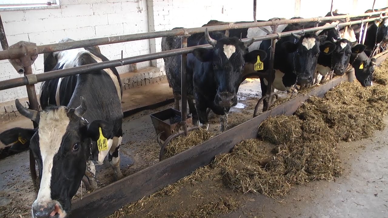 О ПЕРЕХОДЕ НА ЭЛЕКТРОННУЮ СЕРТИФИКАЦИЮ