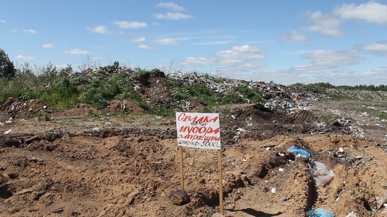 РОССЕЛЬХОЗНАДЗОР ПОЙМАЛ «КАРЬЕРИСТА» И «МУСОРЩИКА»