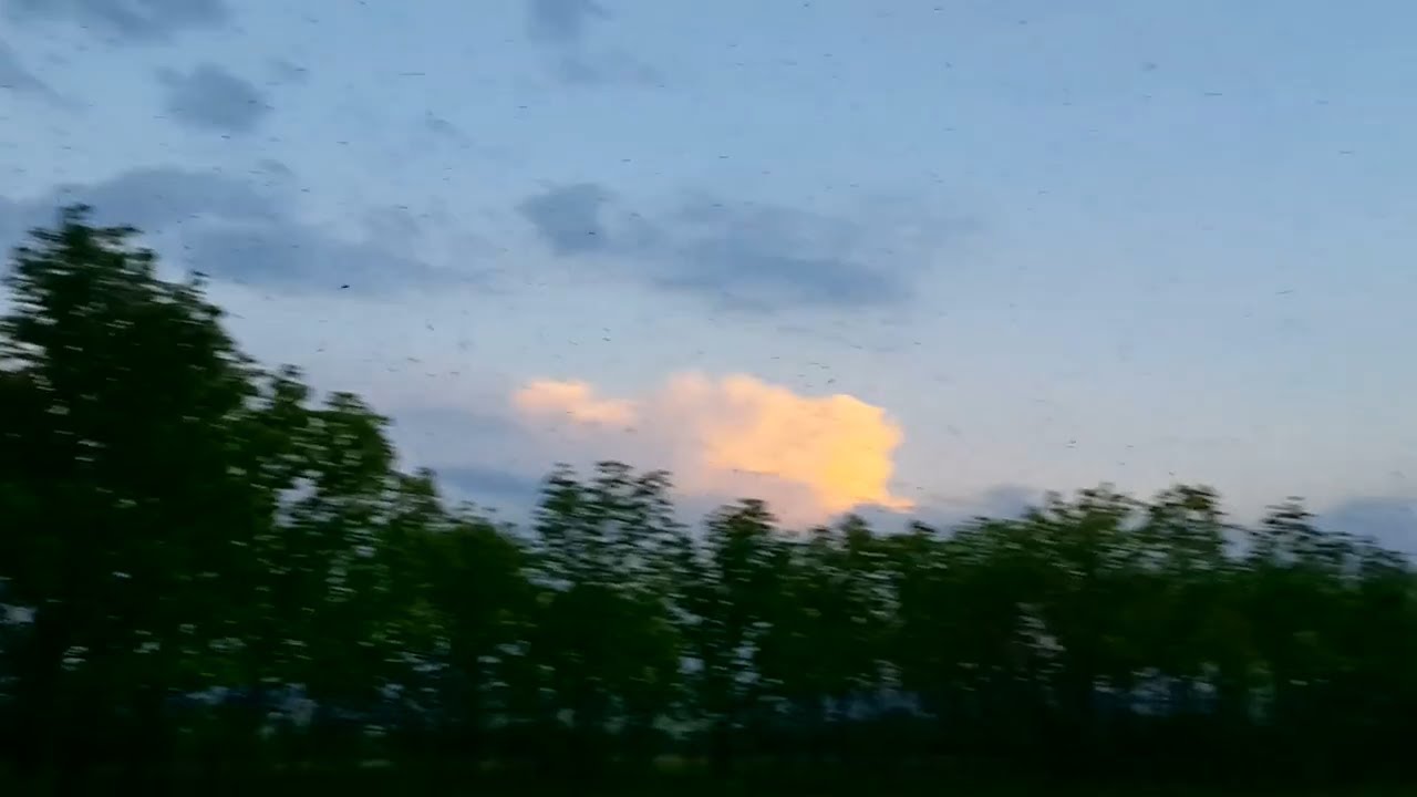 ГНУС ВСЕМОГУЩИЙ. ОБЛАСТЬ СДАЁТСЯ, СПАСЕНИЯ НЕТ?
