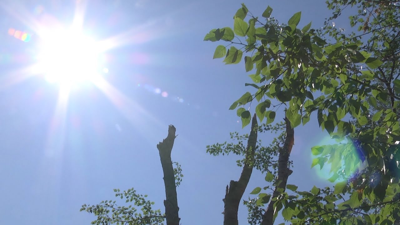 ЗАСЫПАЛО ГРАДОМ И ВЕТРОМ СДУЛО