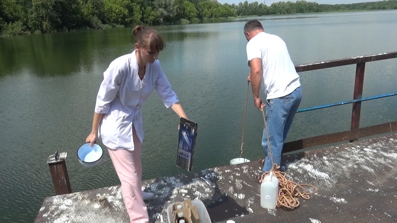 ЧТО ПРОИСХОДИТ С КРАСОТКОЙ? О РЕКУЛЬТИВАЦИИ ПОСТРАДАВШЕГО ВОДОЁМА