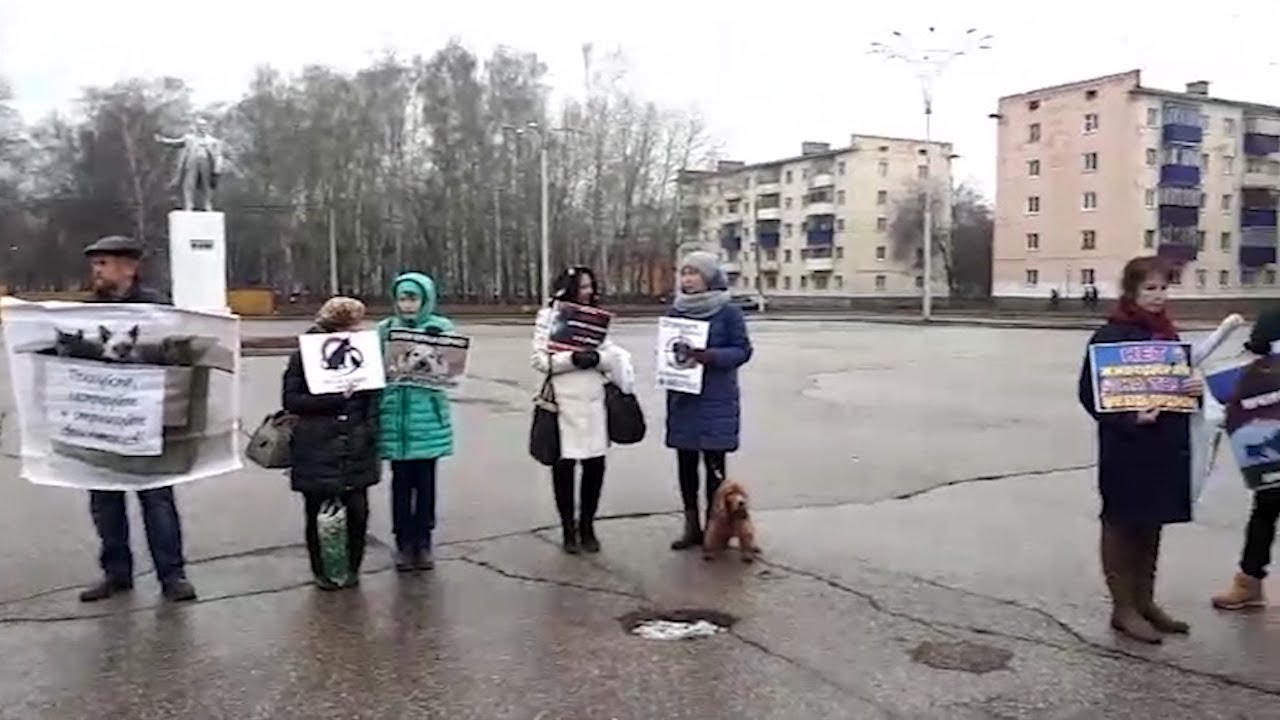 БЕЗ ЗАЩИТЫ. ЗАКОН ОБ ОТВЕТСТВЕННОМ ОБРАЩЕНИИ С ЖИВОТНЫМИ