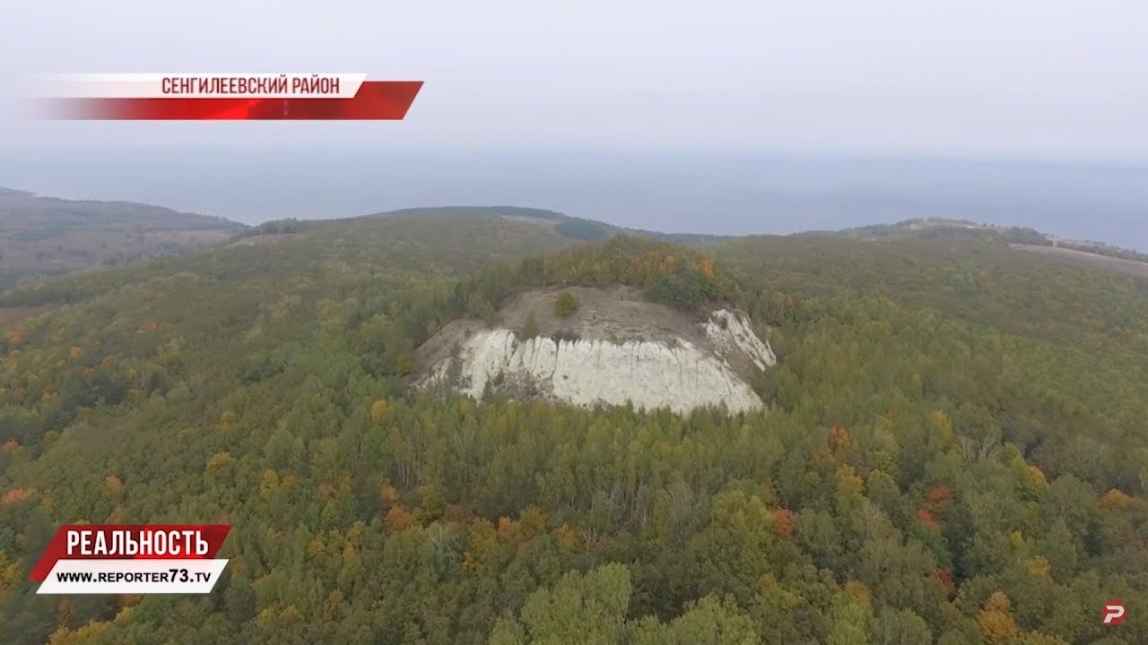 ДЕНЬ РАБОТНИКОВ ЛЕСА