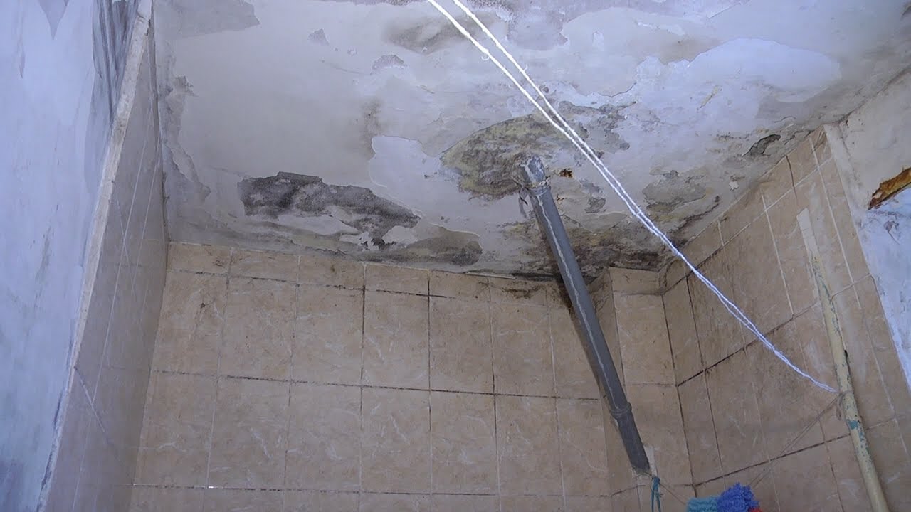 «ВСЕХ БЛАГ И ПЕРЕЕХАТЬ ПОДАЛЬШЕ ОТ ЭТОГО ДОМА»: КАПРЕМОНТ НА ДОВАТОРА