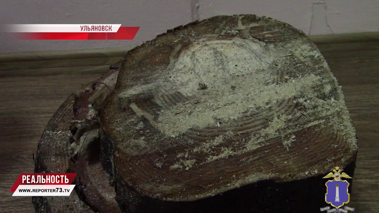 ЛЕСОРУБЫ. ПОГОНЯ. ВСТРЕЧА СО СЛЕДСТВИЕМ