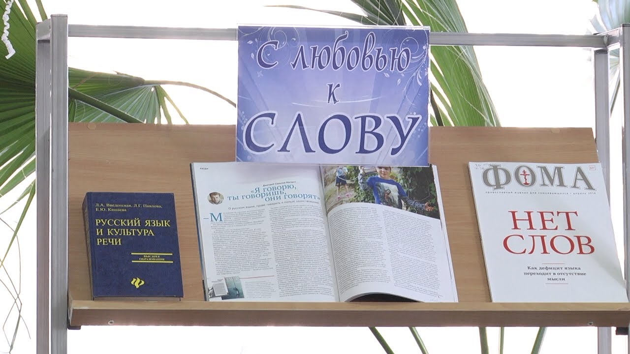 Не бойтесь ошибок, исправляйте их! На что охотятся ульяновцы