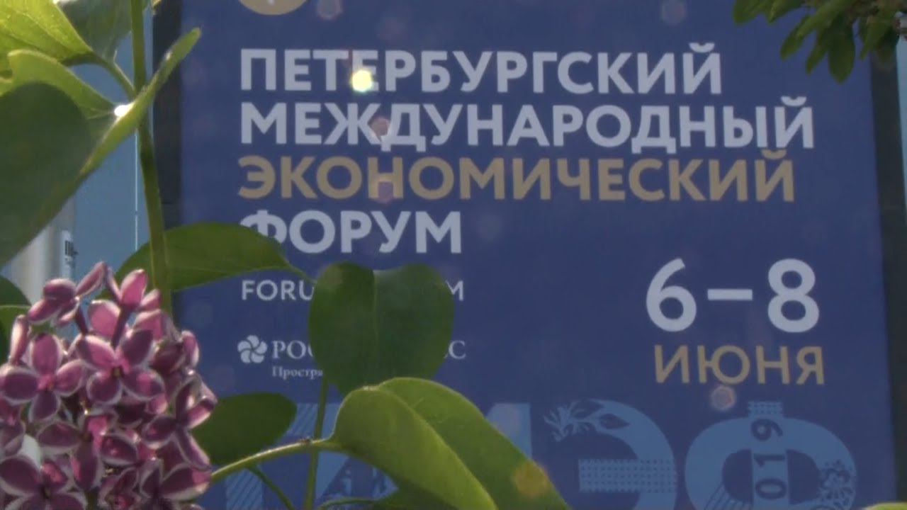 Экология, Свободный порт и экспорт. Итоги первого дня ПМЭФ-2019