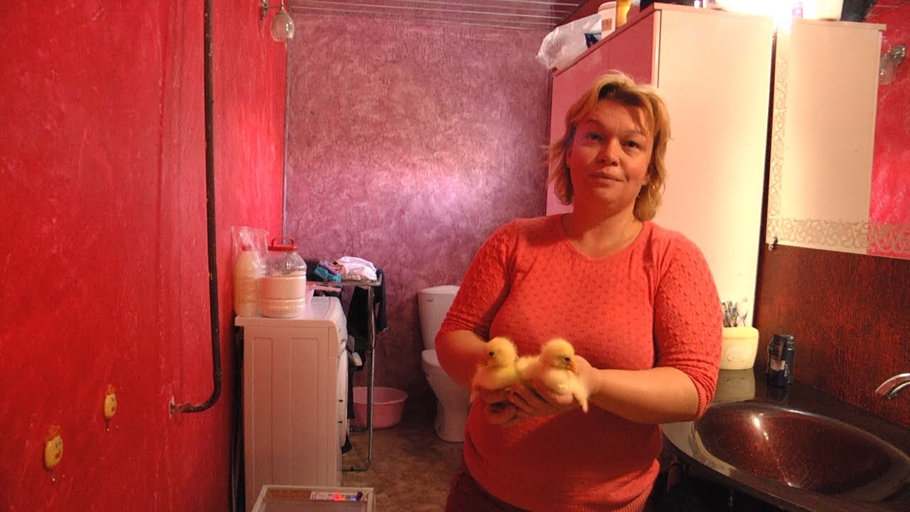 Социальные контракты помогают многодетным и малоимущим