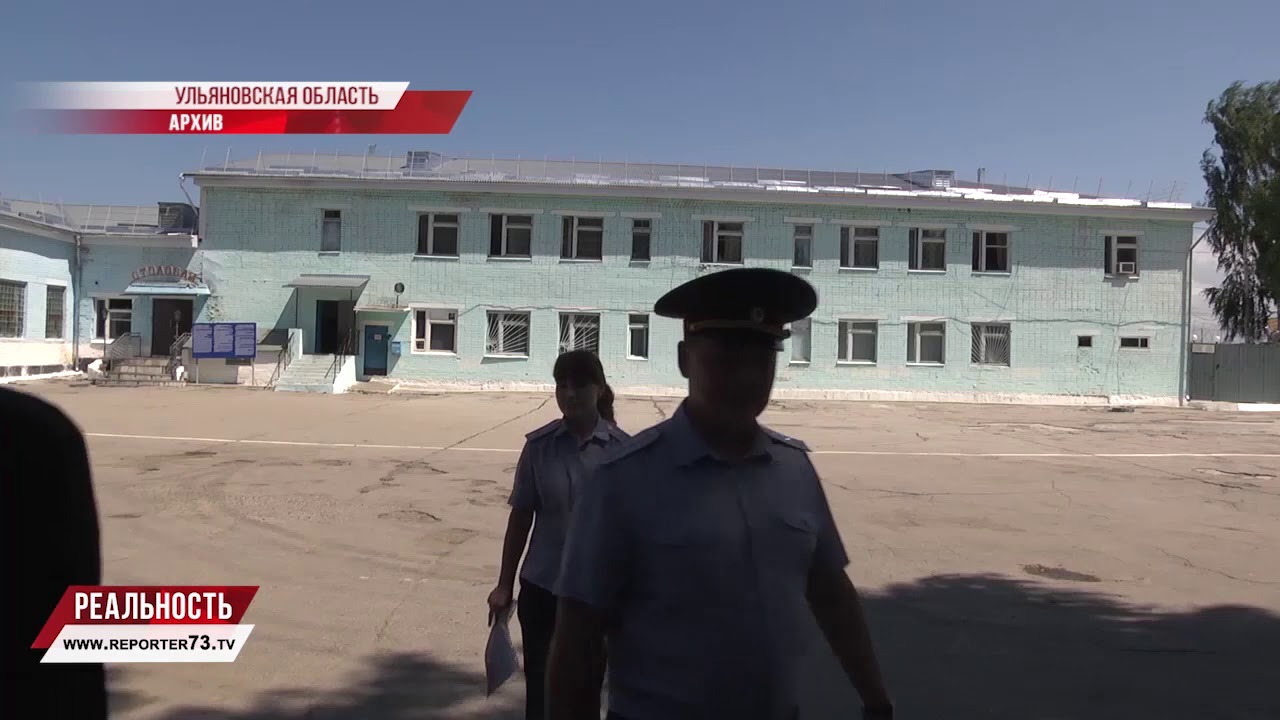 Лес, колония, дороги