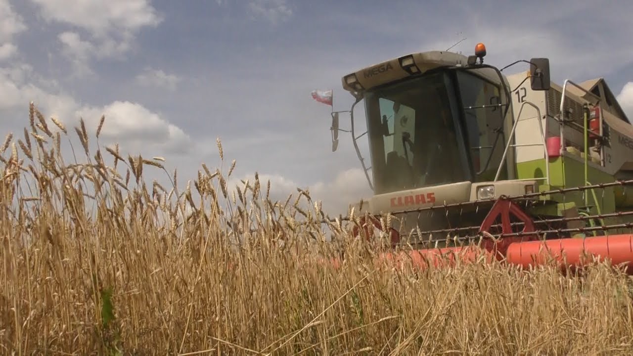 Время убирать. Ульяновские аграрии взялись за урожай