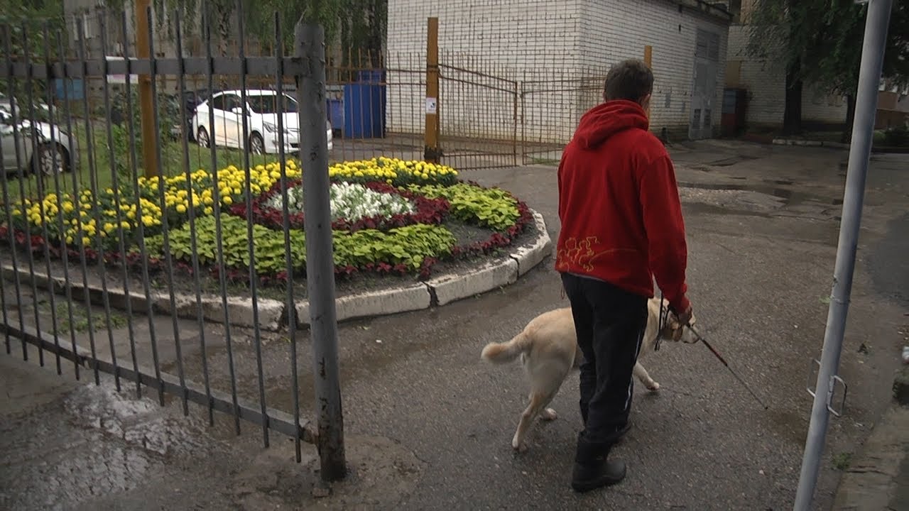 «Будь здоров» с новыми рубриками. Собаки-поводыри и их хозяева