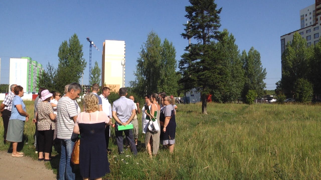 Хвойный стопор. Дерево или дома — что нужнее?