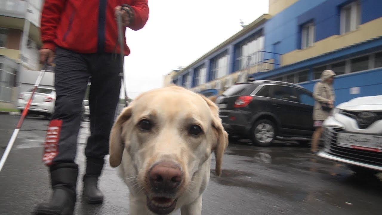 Будь здоров! Поможет