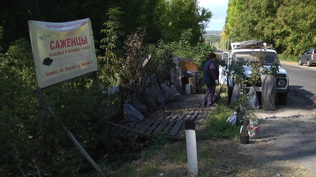 Торговцы на больших дорогах. В России может появиться новый дорожный знак