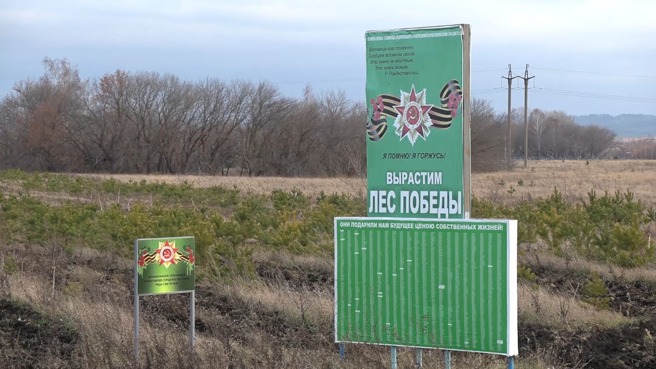 Год памяти и славы. Оргкомитет «Победа»