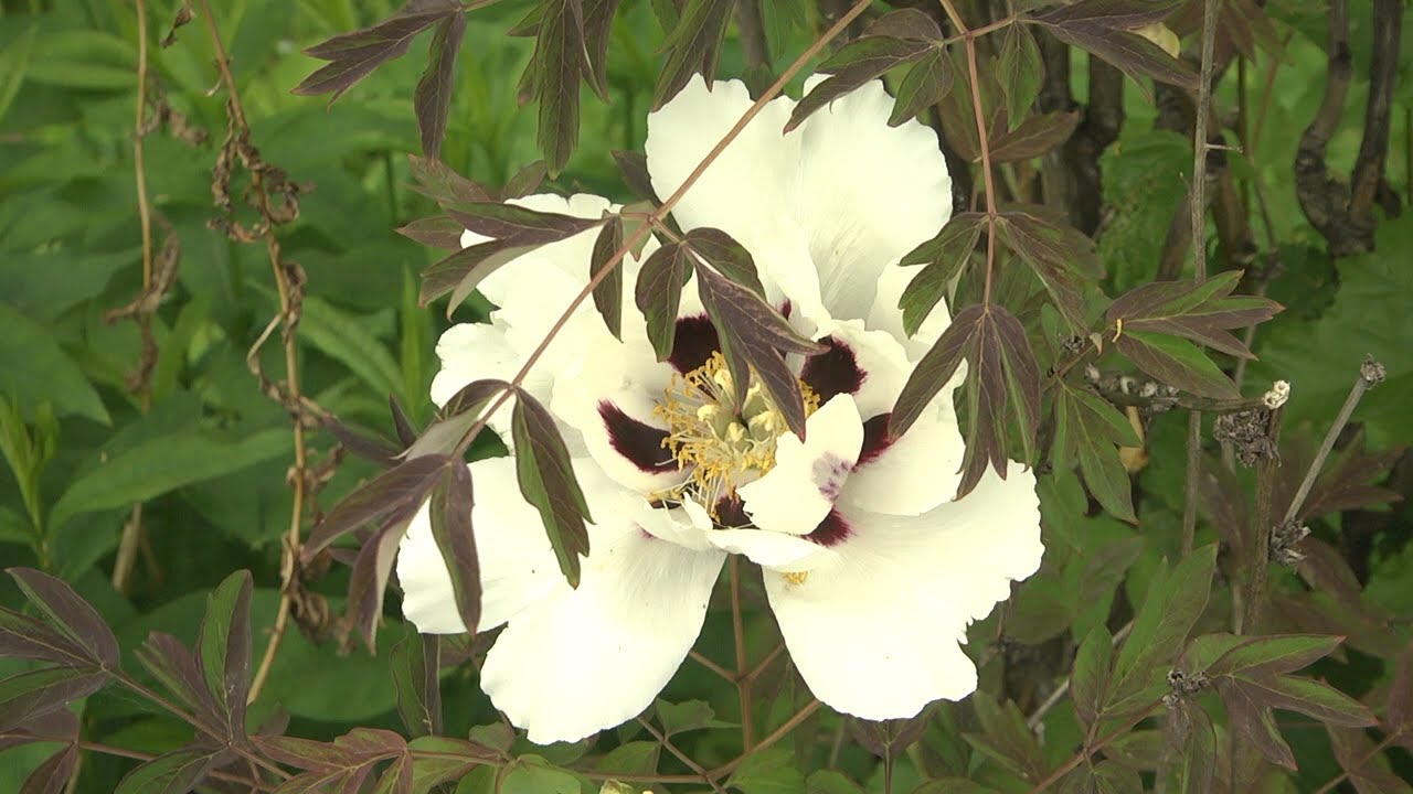 Неделя экологии: свежие решения